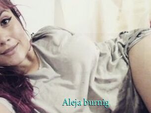 Aleja_burnig