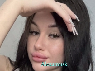 Alexamusk