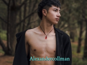 alexandercollman xxx Fantasy Land