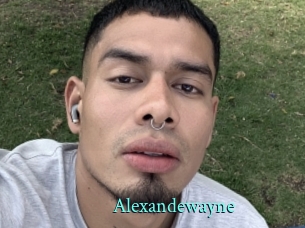 alexandewayne xxx Fantasy Land