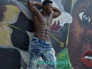 Alexbigmuscle
