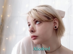 Alicebird