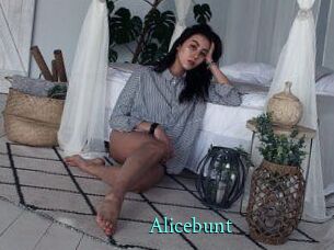 Alicebunt