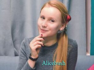 Alicebush
