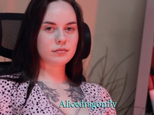 Alicedragonfly
