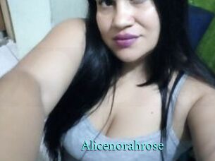 Alicenorahrose