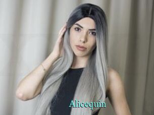 Alicequin