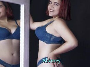 Alicerey