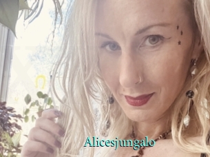 Alicesjungalo