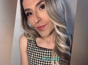 Alyscarf