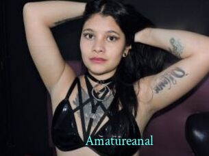 Amatureanal