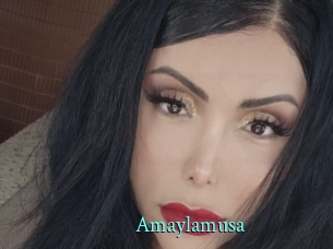 Amaylamusa