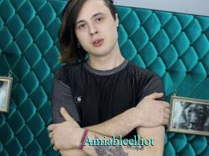 Amiableelliot