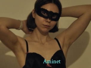 Aminet