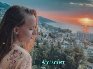 Amismett