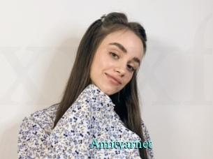 Amityarnet