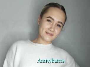 Amitybarris