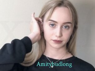 Amitybudlong