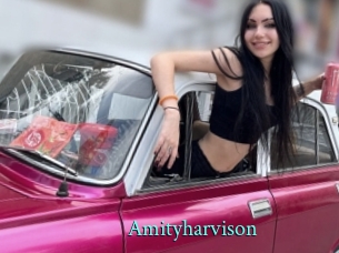 Amityharvison