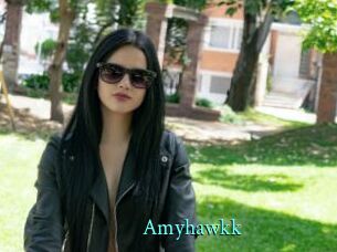 Amyhawkk