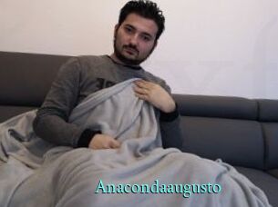 Anacondaaugusto