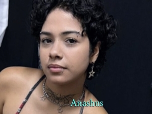 Anashus