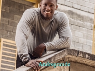 andregrande xxx Fantasy Land