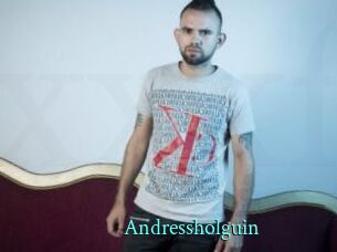 Andressholguin
