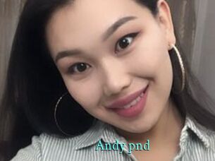 Andy_pnd