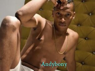 Andybony