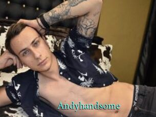 Andyhandsome