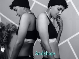 Andyhops