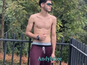 Andylukee