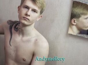 Andymellory