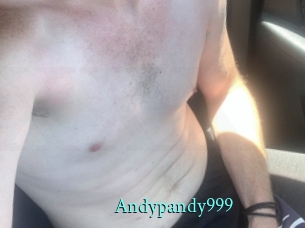 Andypandy999