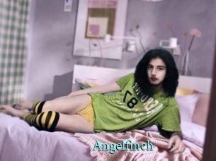 Angelfinch