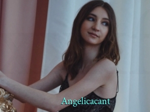 Angelicacant