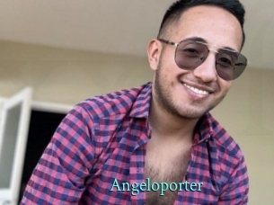 Angeloporter