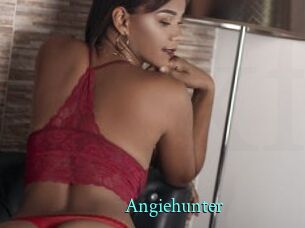 Angiehunter