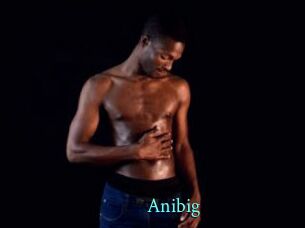 Anibig