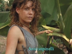 Aniccaspinelli