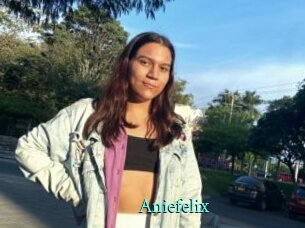 Aniefelix