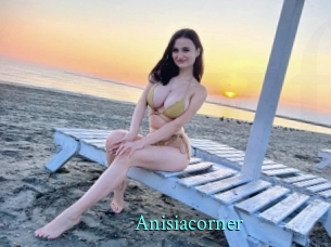 Anisiacorner