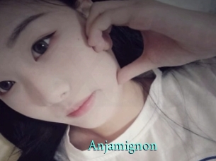 Anjamignon