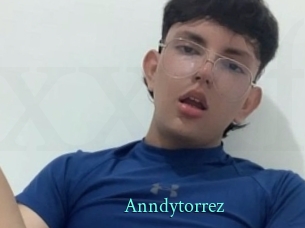 Anndytorrez