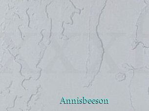 Annisbeeson