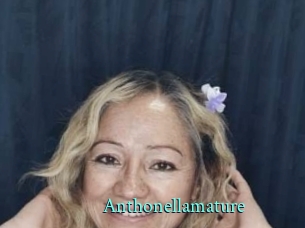 Anthonellamature