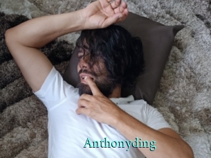 anthonyding xxx Fantasy Land