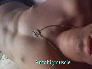 antobigmuscle xxx Fantasy Land