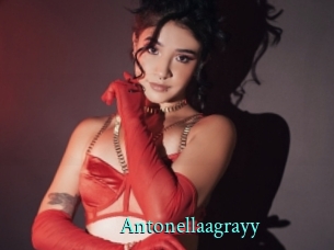 Antonellaagrayy